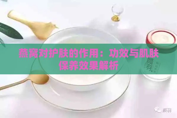 燕窝对护肤的作用：功效与肌肤保养效果解析