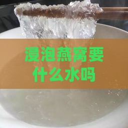 浸泡燕窝要什么水吗