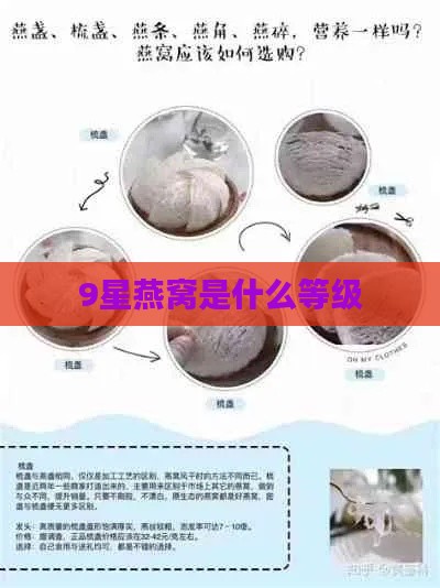 9星燕窝是什么等级