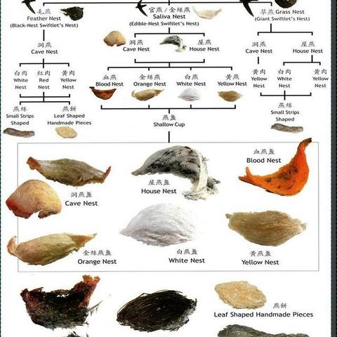 9星燕窝是什么等级