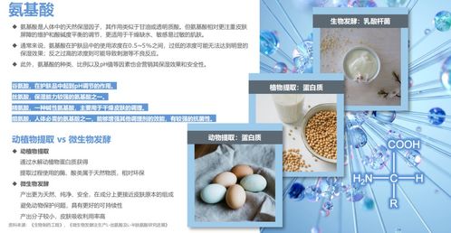 揭秘燕窝：小绒毛成分解析与食用安全性探究