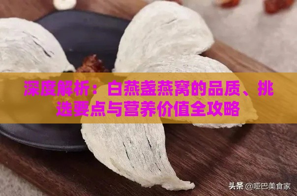 深度解析：白燕盏燕窝的品质、挑选要点与营养价值全攻略