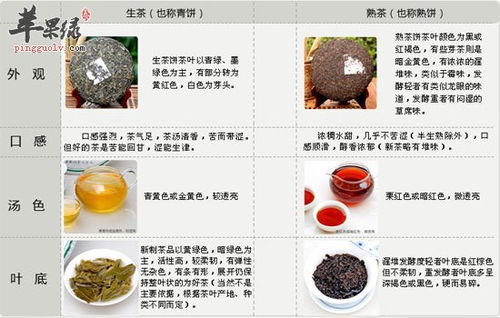 燕窝饮品：含义、功效、制作方法与选购指南