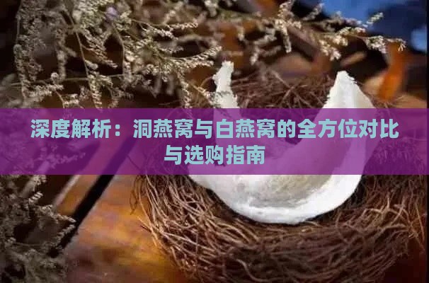 深度解析：洞燕窝与白燕窝的全方位对比与选购指南