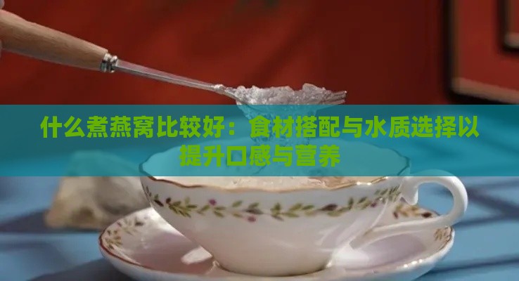 什么煮燕窝比较好：食材搭配与水质选择以提升口感与营养