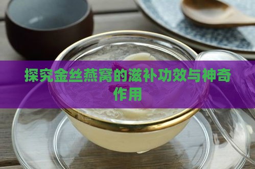 探究金丝燕窝的滋补功效与神奇作用