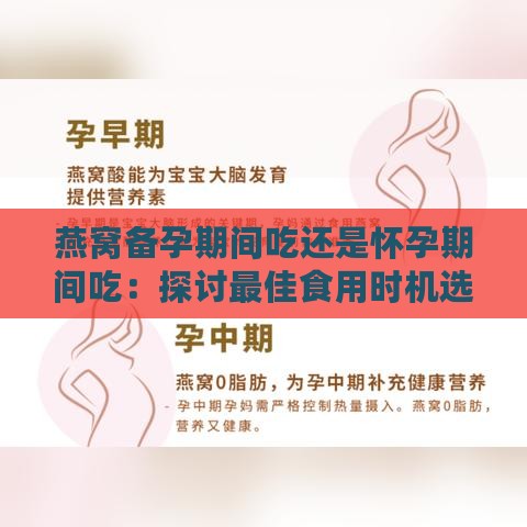 燕窝备孕期间吃还是怀孕期间吃：探讨更佳食用时机选择