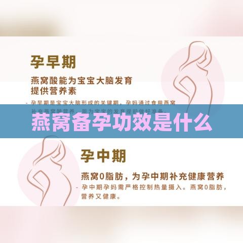 燕窝备孕功效是什么