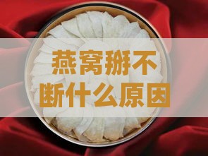 燕窝掰不断什么原因呢，探讨燕窝掰不断的可能原因及解决方法