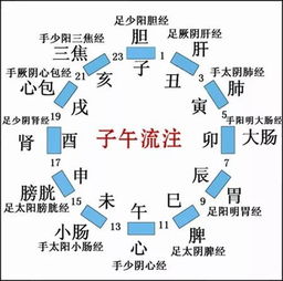 燕窝什么时候能产卵泡及发现食用、产量高峰与开始补身时间探讨