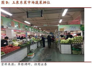 保定保健品集散地：探寻批发一条街具     置与信息