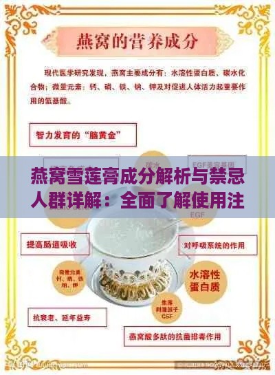 燕窝雪莲膏成分解析与禁忌人群详解：全面了解使用注意事项