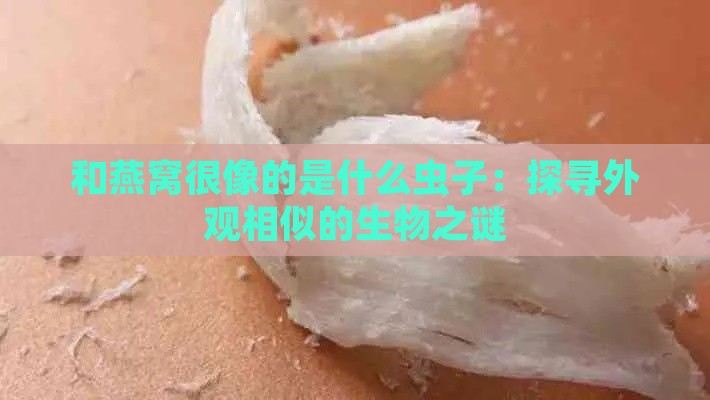 和燕窝很像的是什么虫子：探寻外观相似的生物之谜