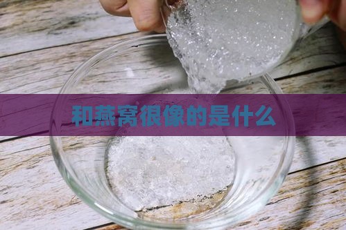 和燕窝很像的是什么