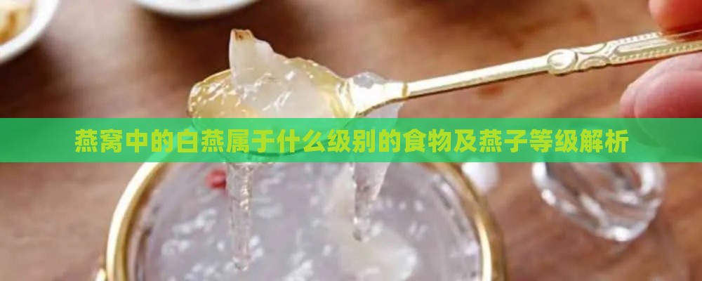 燕窝中的白燕属于什么级别的食物及燕子等级解析