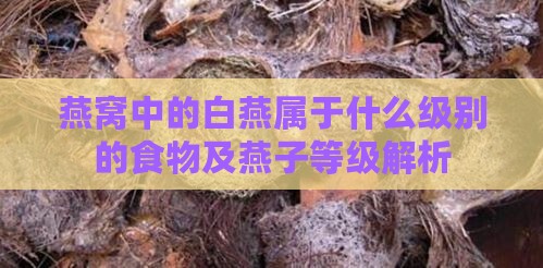 燕窝中的白燕属于什么级别的食物及燕子等级解析