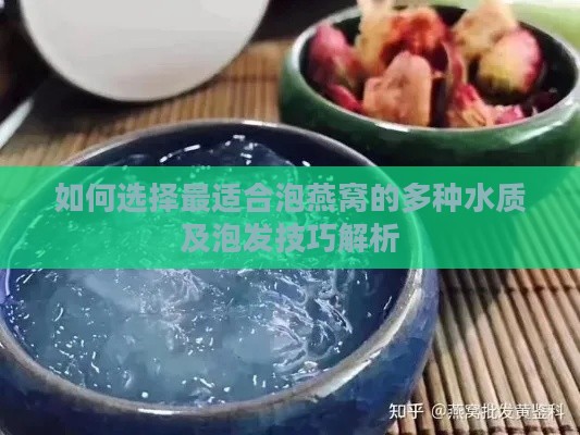 如何选择最适合泡燕窝的多种水质及泡发技巧解析