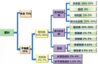 探究燕窝中的多糖体成分及其健康益处