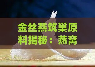 金丝燕筑巢原料揭秘：燕窝的珍贵来源探究