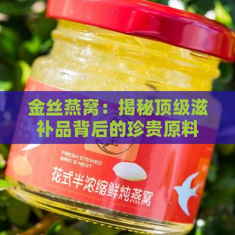 金丝燕窝：揭秘顶级滋补品背后的珍贵原料