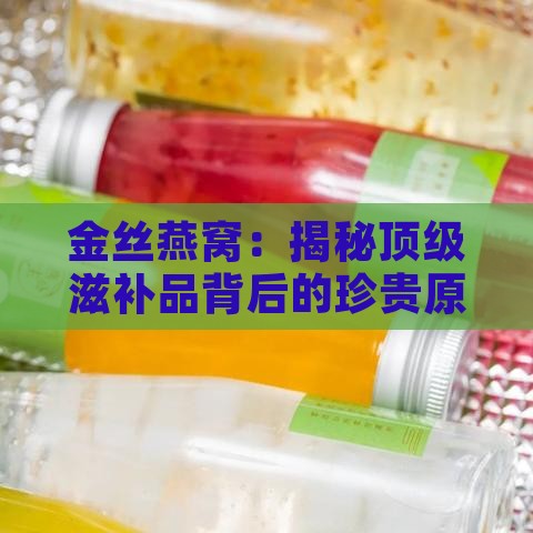 金丝燕窝：揭秘顶级滋补品背后的珍贵原料