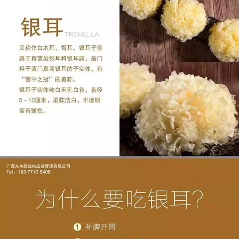 化疗恢复期食用燕窝的适宜性探讨