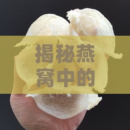 揭秘燕窝中的神秘泡沫：真相与成分解析