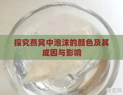 探究燕窝中泡沫的颜色及其成因与影响