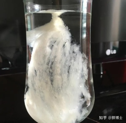 探究燕窝中泡沫的颜色及其成因与影响