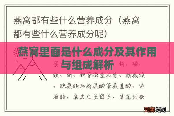 燕窝里面是什么成分及其作用与组成解析