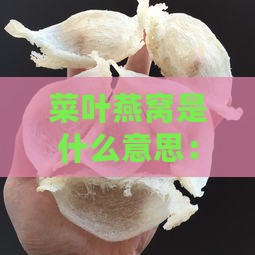 菜叶燕窝是什么意思：揭秘网络流行语的深层含义与起源