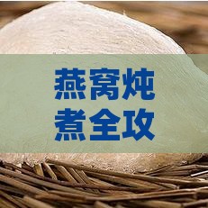 燕窝炖煮全攻略：如何选择与使用最适合的水质及水量