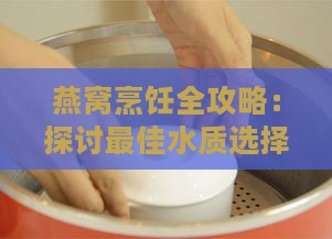 燕窝烹饪全攻略：探讨更佳水质选择与炖煮技巧