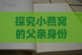 探究小燕窝的父亲身份：揭秘燕窝背后的家族故事与姓名之谜