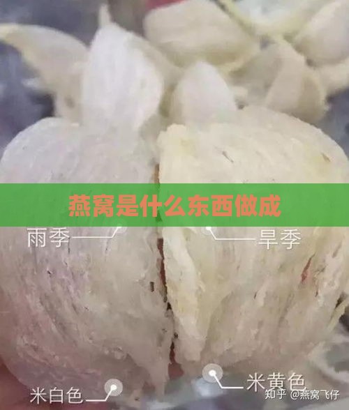 燕窝是什么东西做成