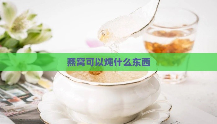 燕窝可以炖什么东西