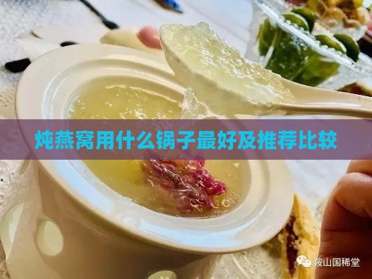 炖燕窝用什么锅子更好及推荐比较