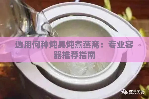 选用何种炖具炖煮燕窝：专业容器推荐指南