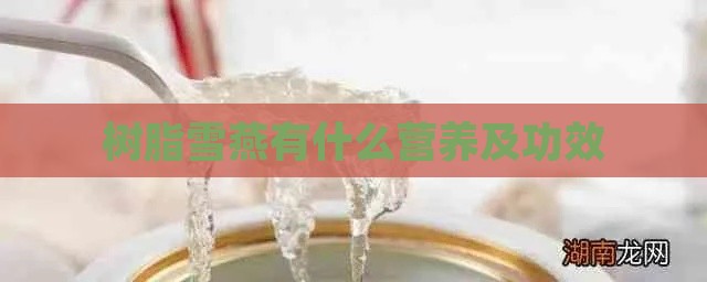 树脂雪燕有什么营养及功效