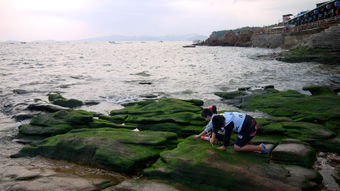 大连燕窝岭是什么海的海域海滩及由来，位置与游玩攻略