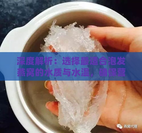 深度解析：选择最适合泡发燕窝的水质与水温，确保营养与口感双重提升