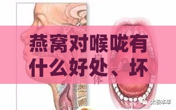 燕窝对喉咙有什么好处、坏处及功效，对喉咙痛有帮助吗？