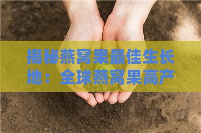 揭秘燕窝果更佳生长地：全球燕窝果高产区一览及气候土壤解析