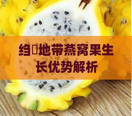 绉嶆地带燕窝果生长优势解析