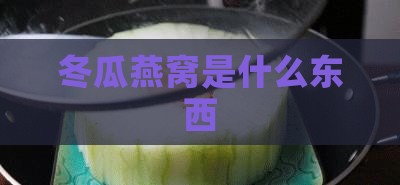 冬瓜燕窝是什么东西