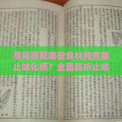 燕窝搭配哪些食材炖煮能止咳化痰？全面解析止咳化痰的燕窝食谱