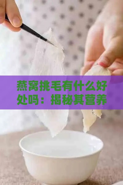 燕窝挑毛有什么好处吗：揭秘其营养与健康益处