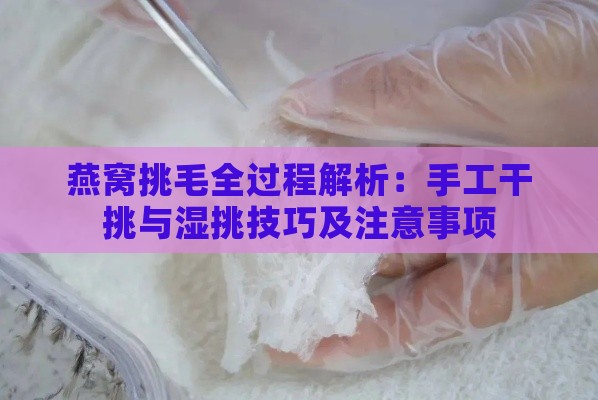 燕窝挑毛全过程解析：手工干挑与湿挑技巧及注意事项