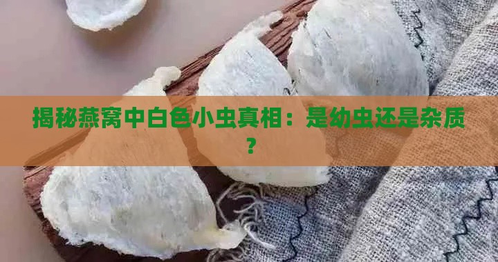 揭秘燕窝中白色小虫真相：是幼虫还是杂质？