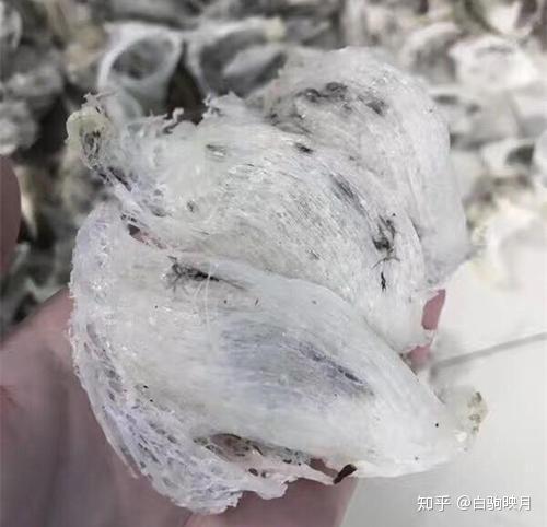 干燕窝里红色是什么虫子：探究燕窝出现红色斑点的原因